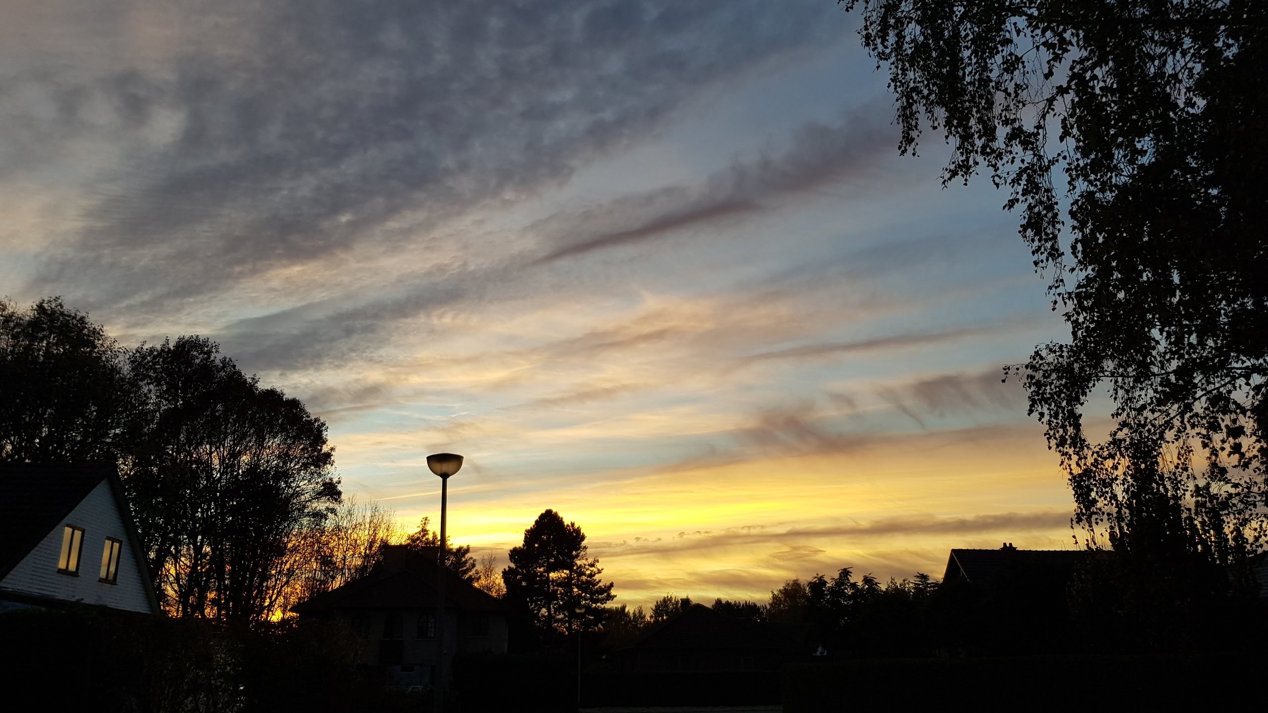 Skyscapes