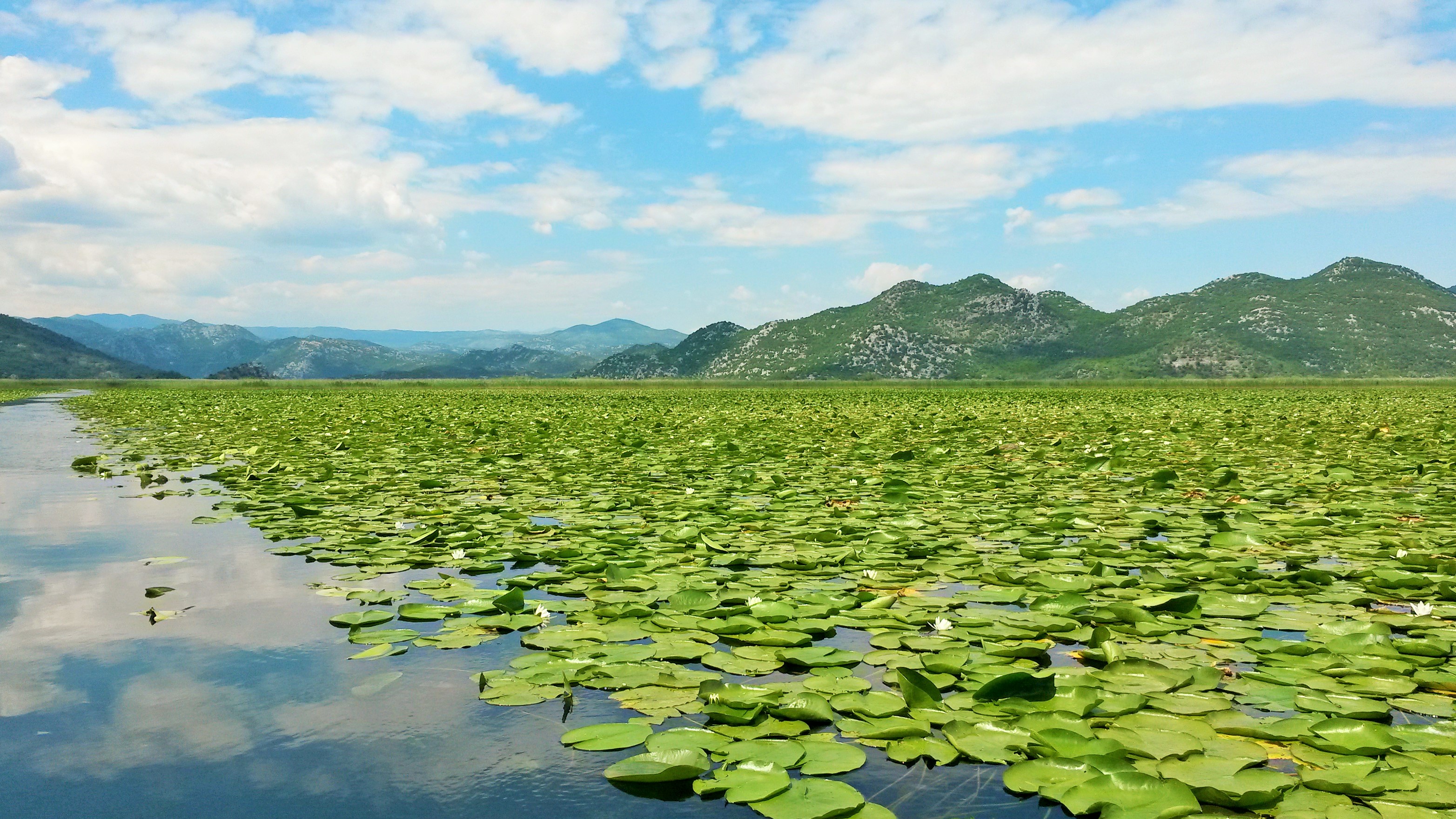 Beautiful Lake Skadar