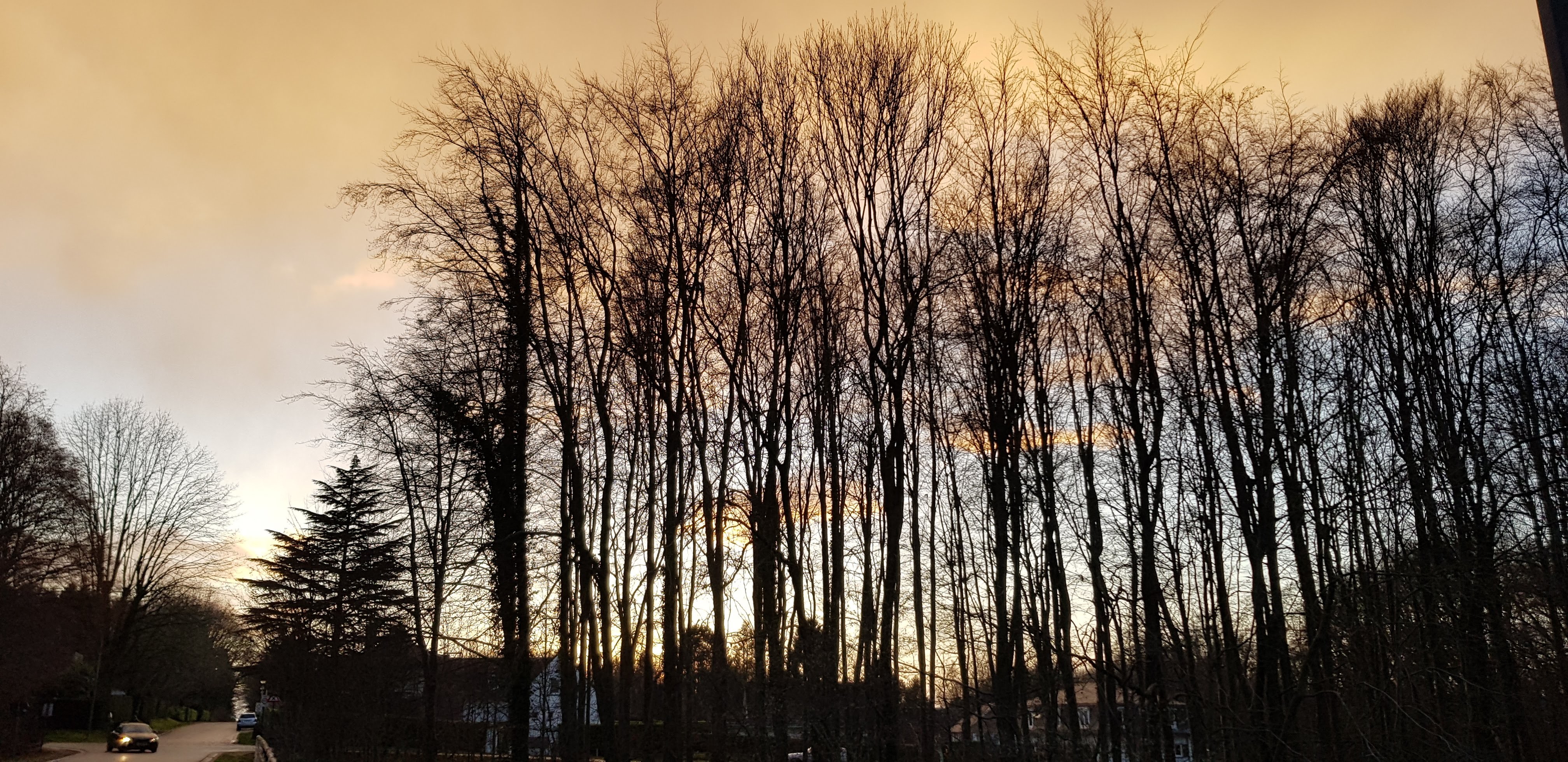 The bleak beauty of December
