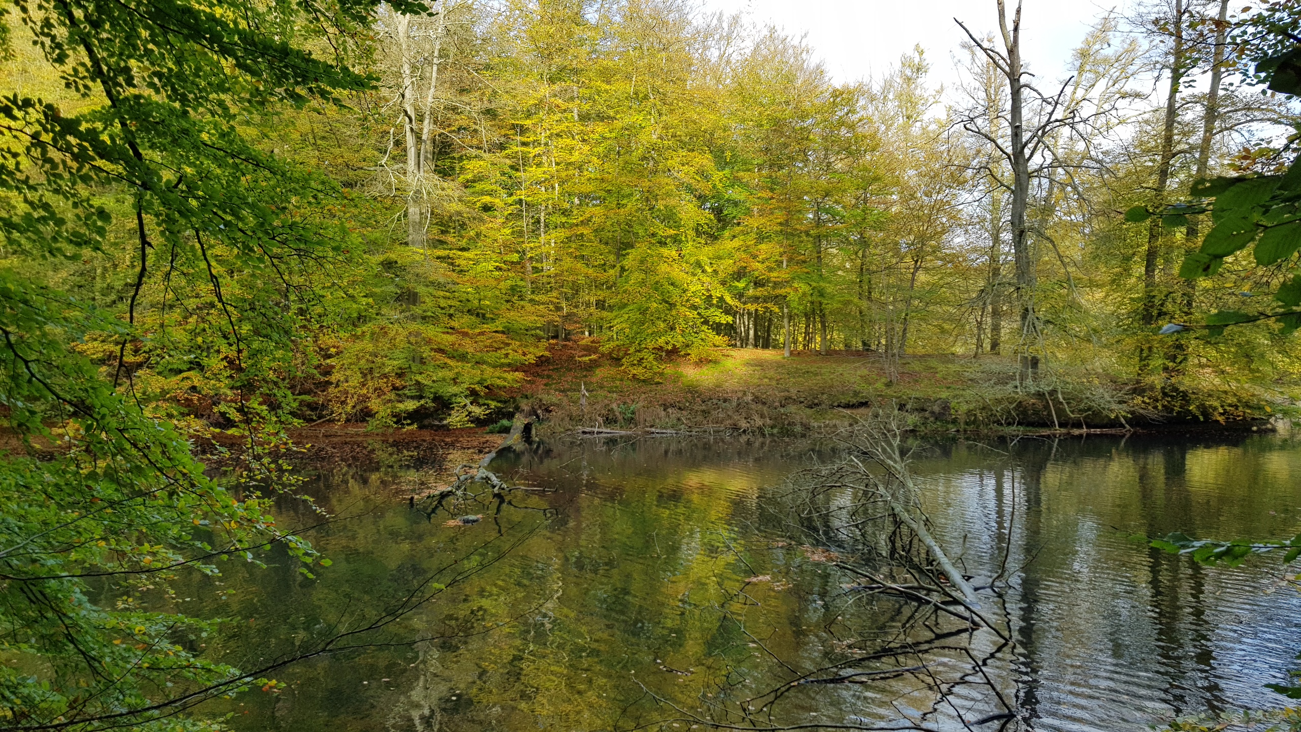 In search of peace of mind