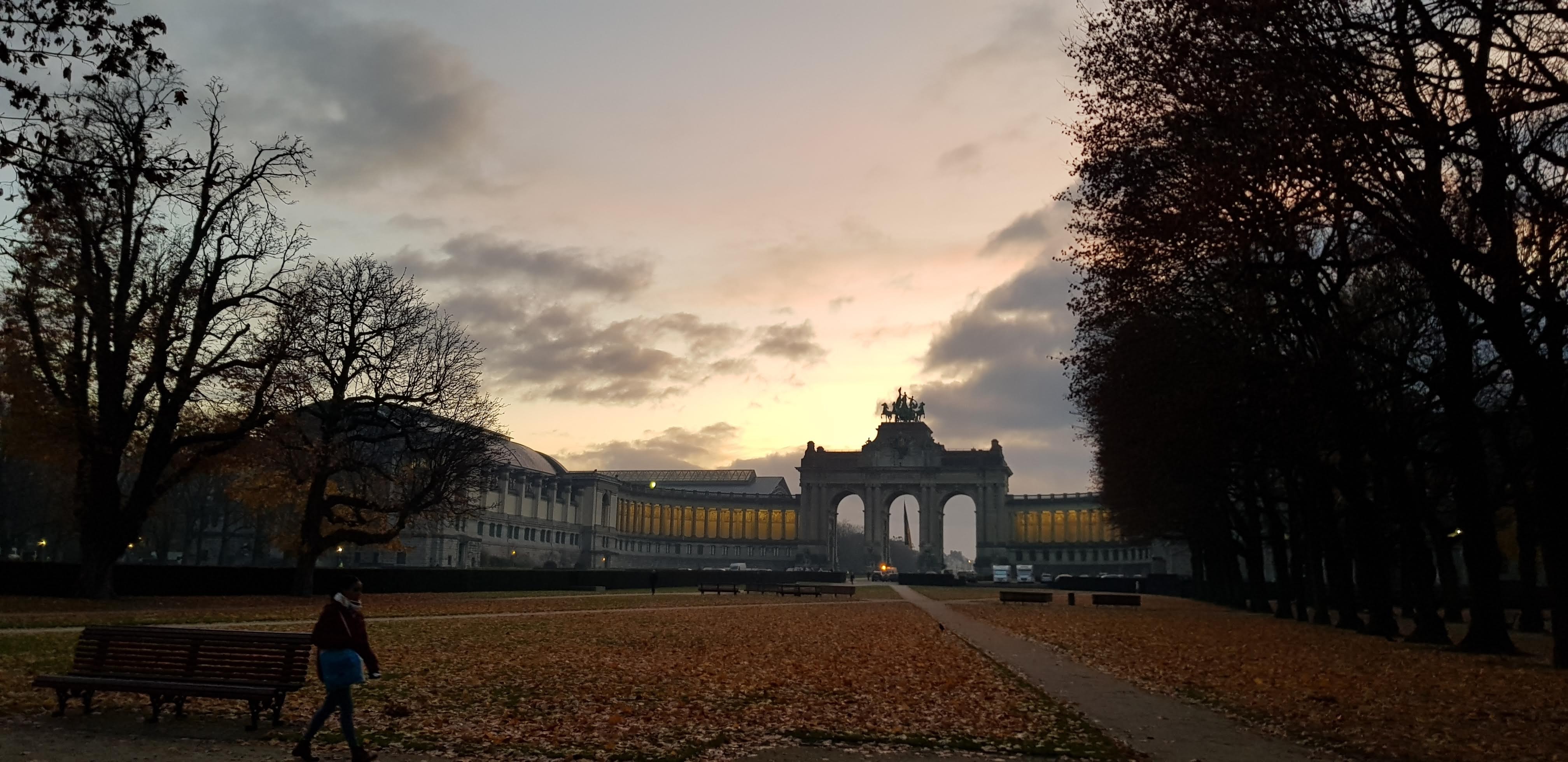 Morning glory in Brussels