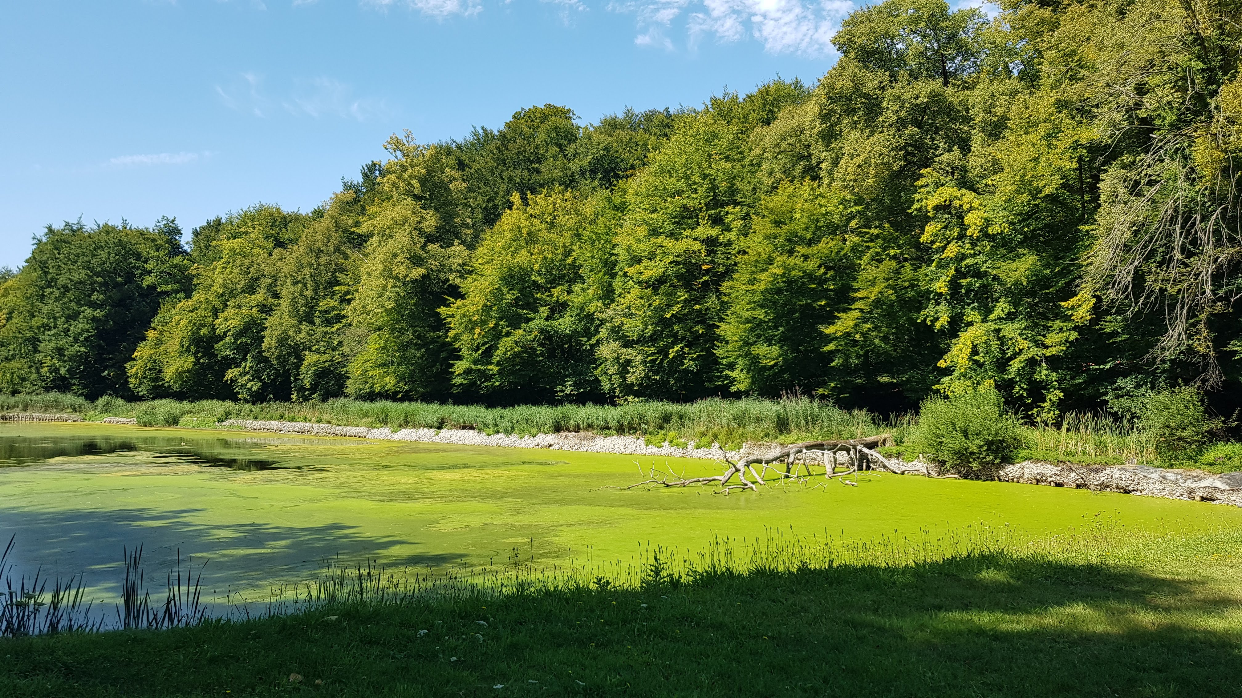 Biodynamized water in Groenendaal